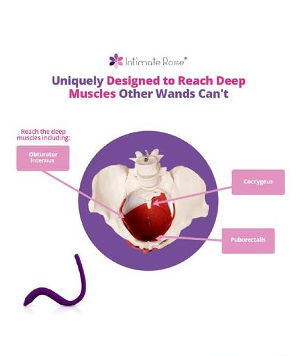Intimate Rose Pelvic Wand Pelvic & Women's Health Intimate Rose Pelvic Wand Pelvic & Women's Health
